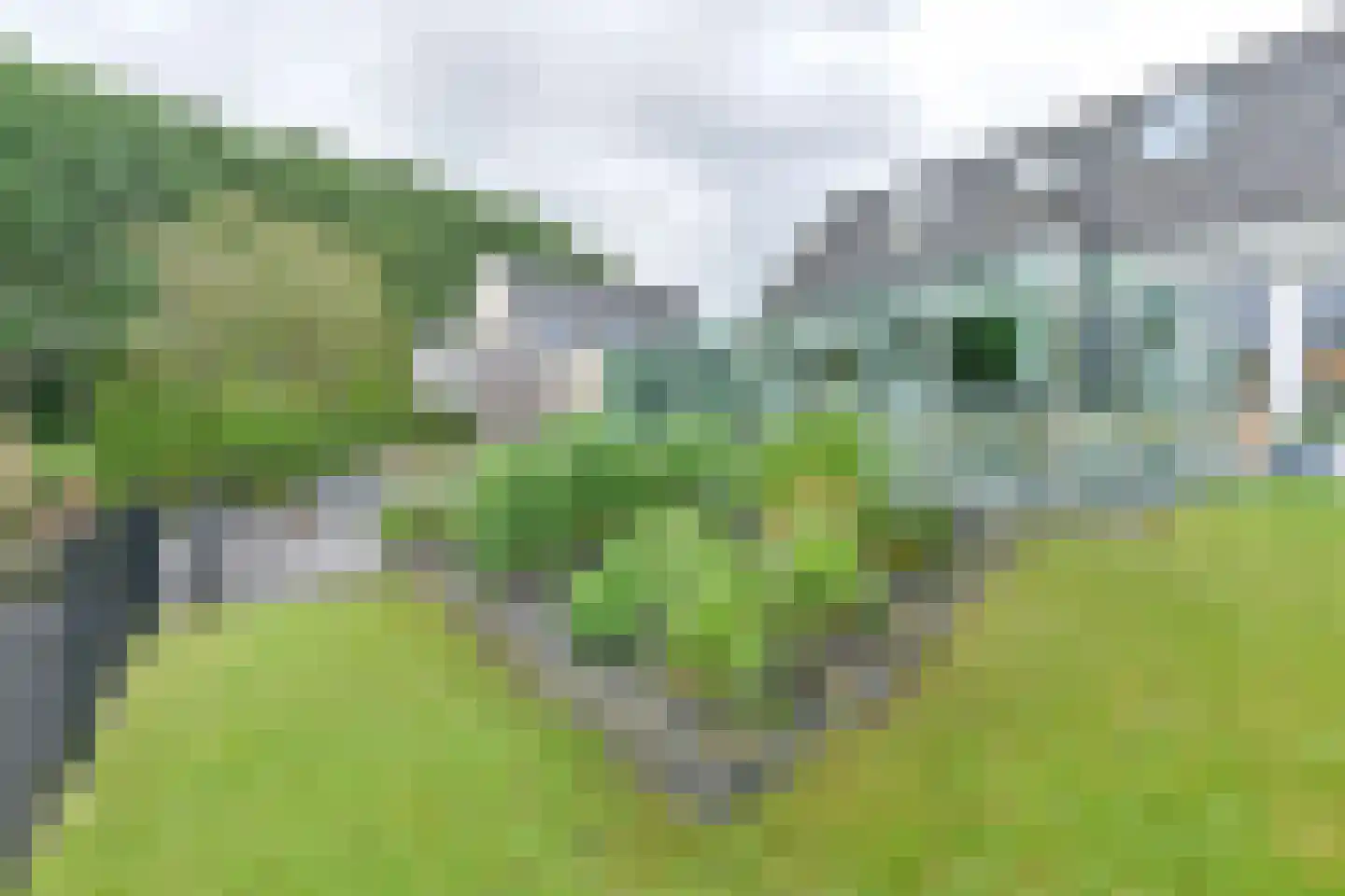 Drieteenspecht 48 Emmen thumbnail 89