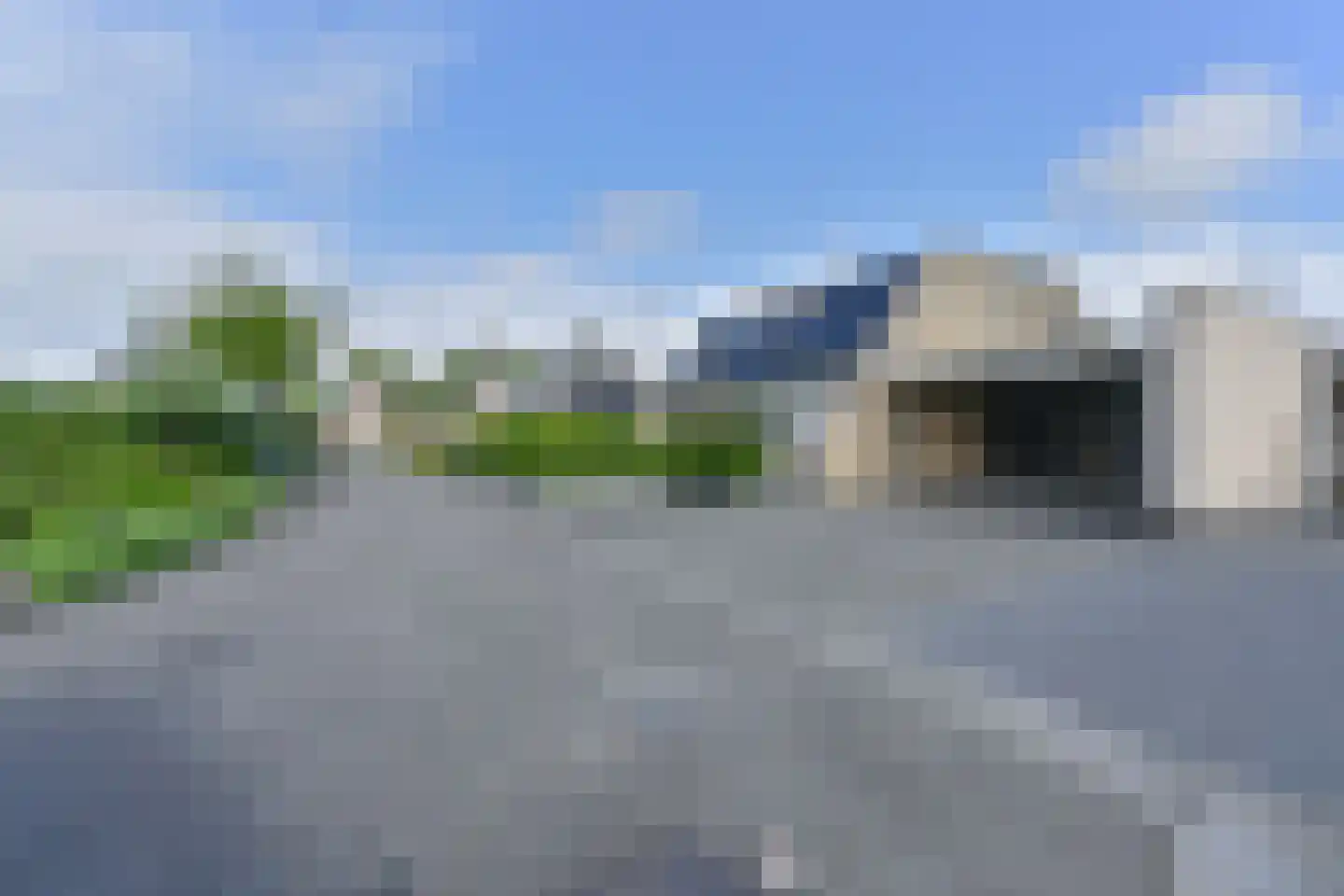 Drieteenspecht 48 Emmen thumbnail 9