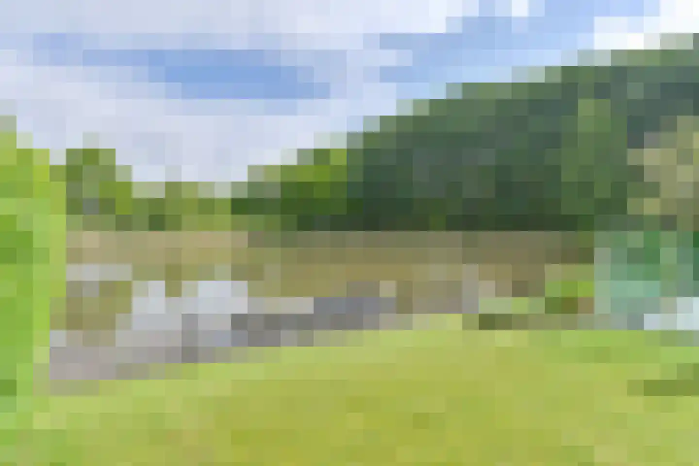 Drieteenspecht 48 Emmen thumbnail 90