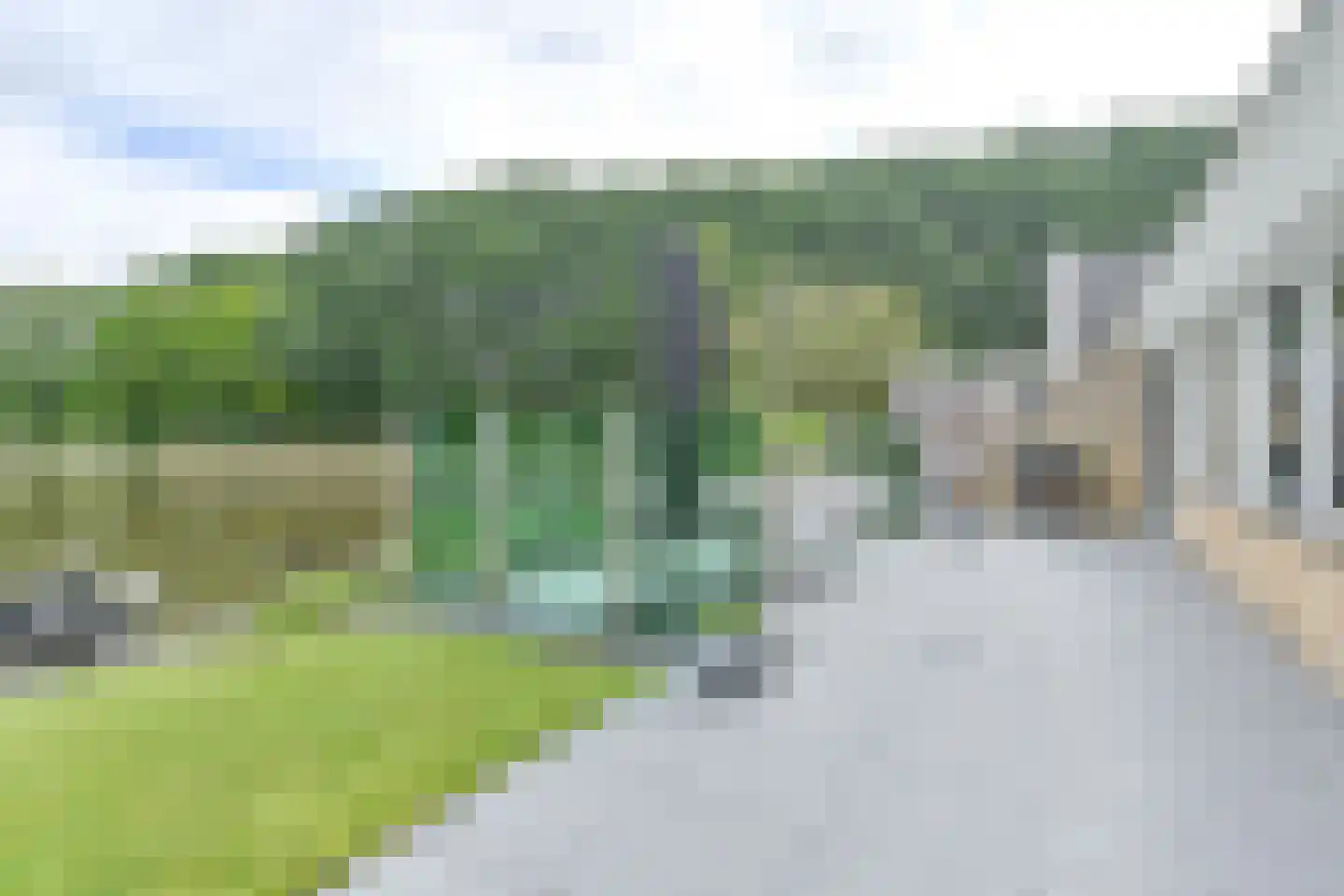 Drieteenspecht 48 Emmen thumbnail 91