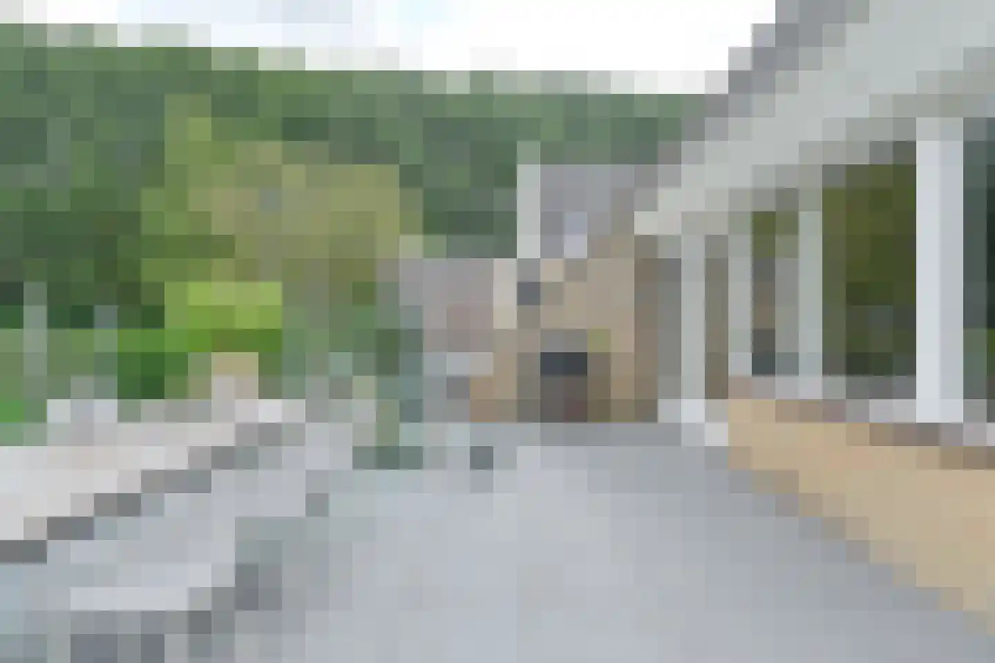 Drieteenspecht 48 Emmen thumbnail 92