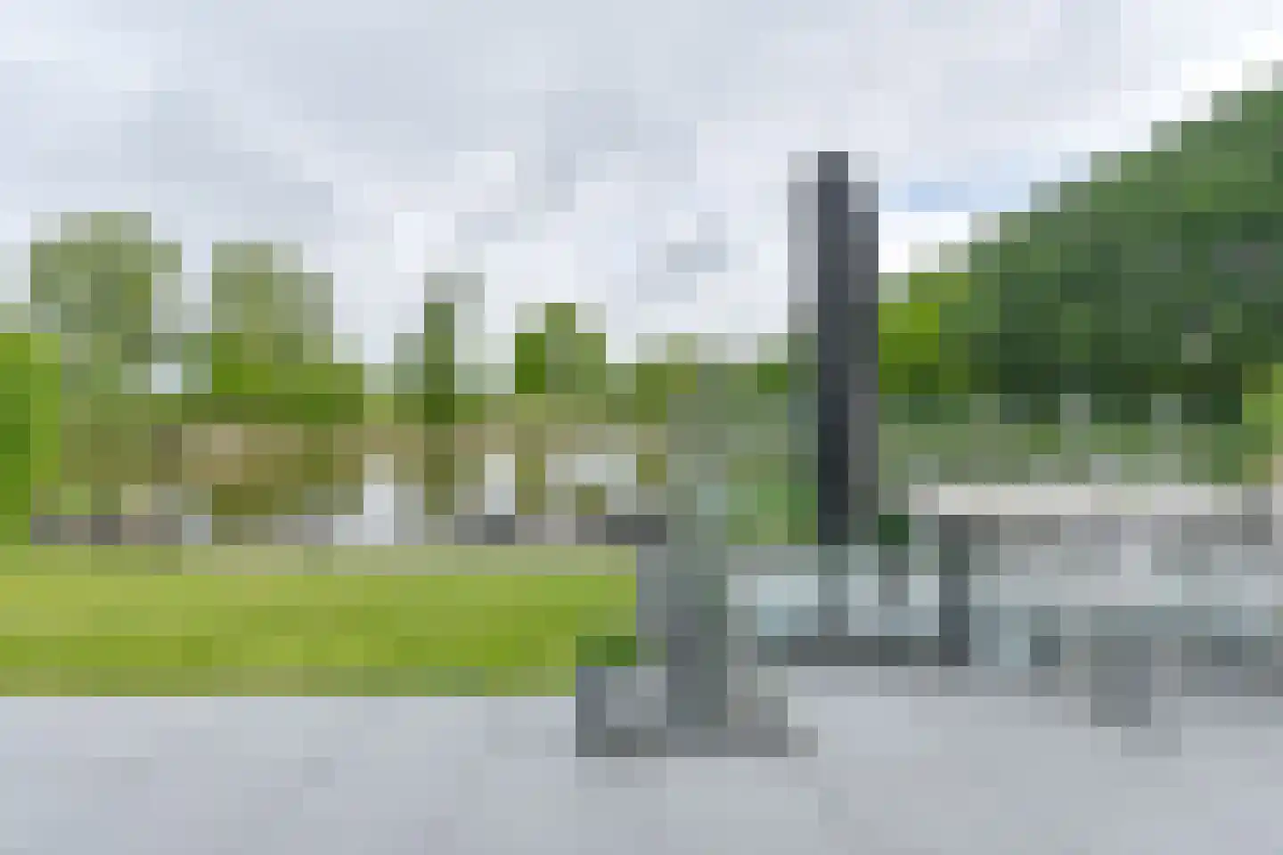 Drieteenspecht 48 Emmen thumbnail 93