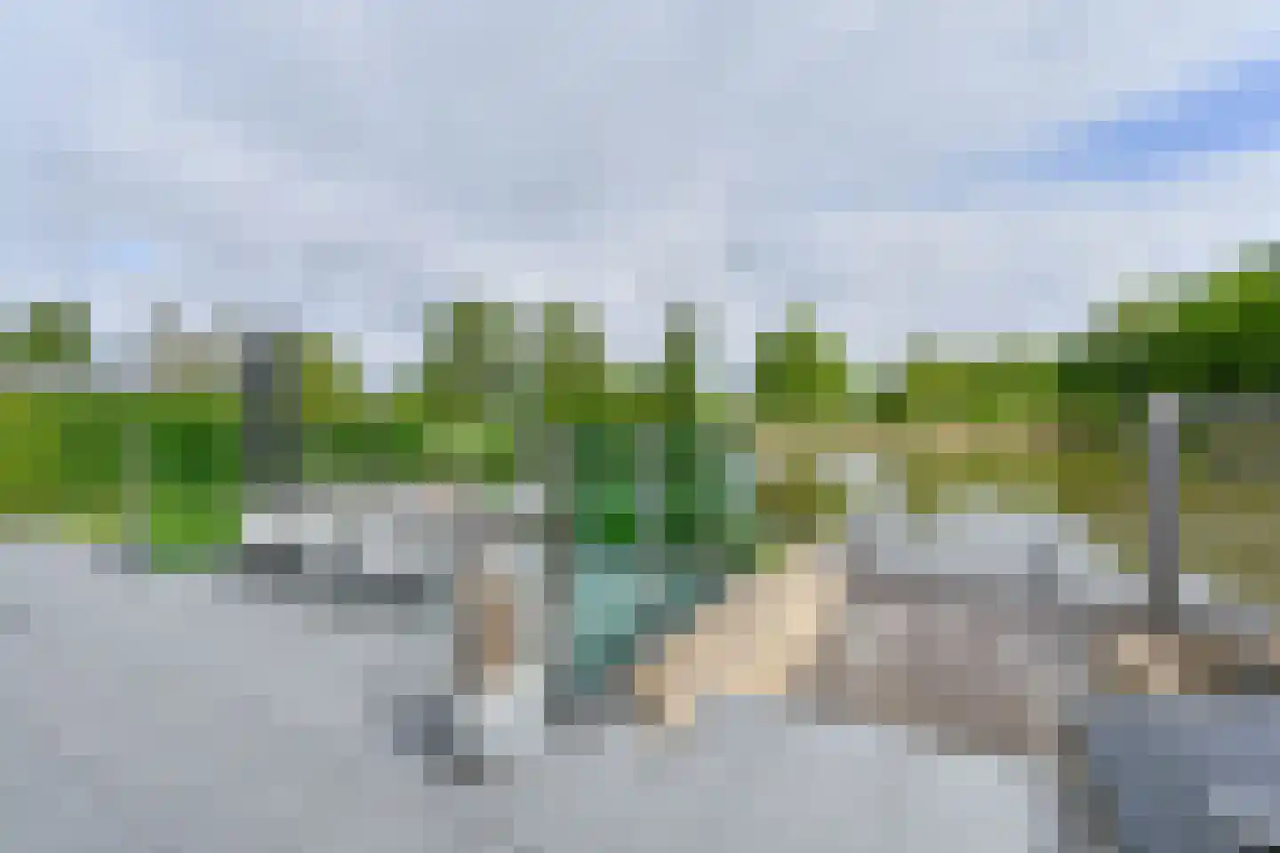 Drieteenspecht 48 Emmen thumbnail 94