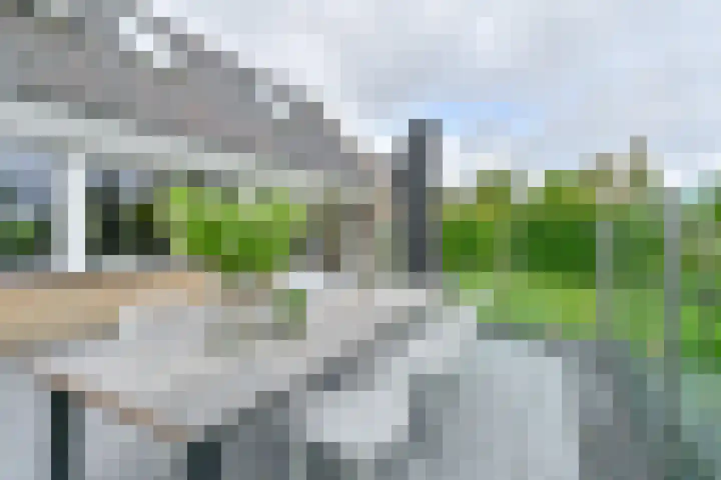 Drieteenspecht 48 Emmen thumbnail 96