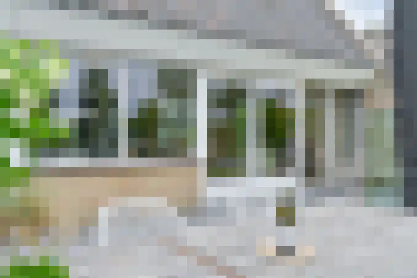 Drieteenspecht 48 Emmen thumbnail 97