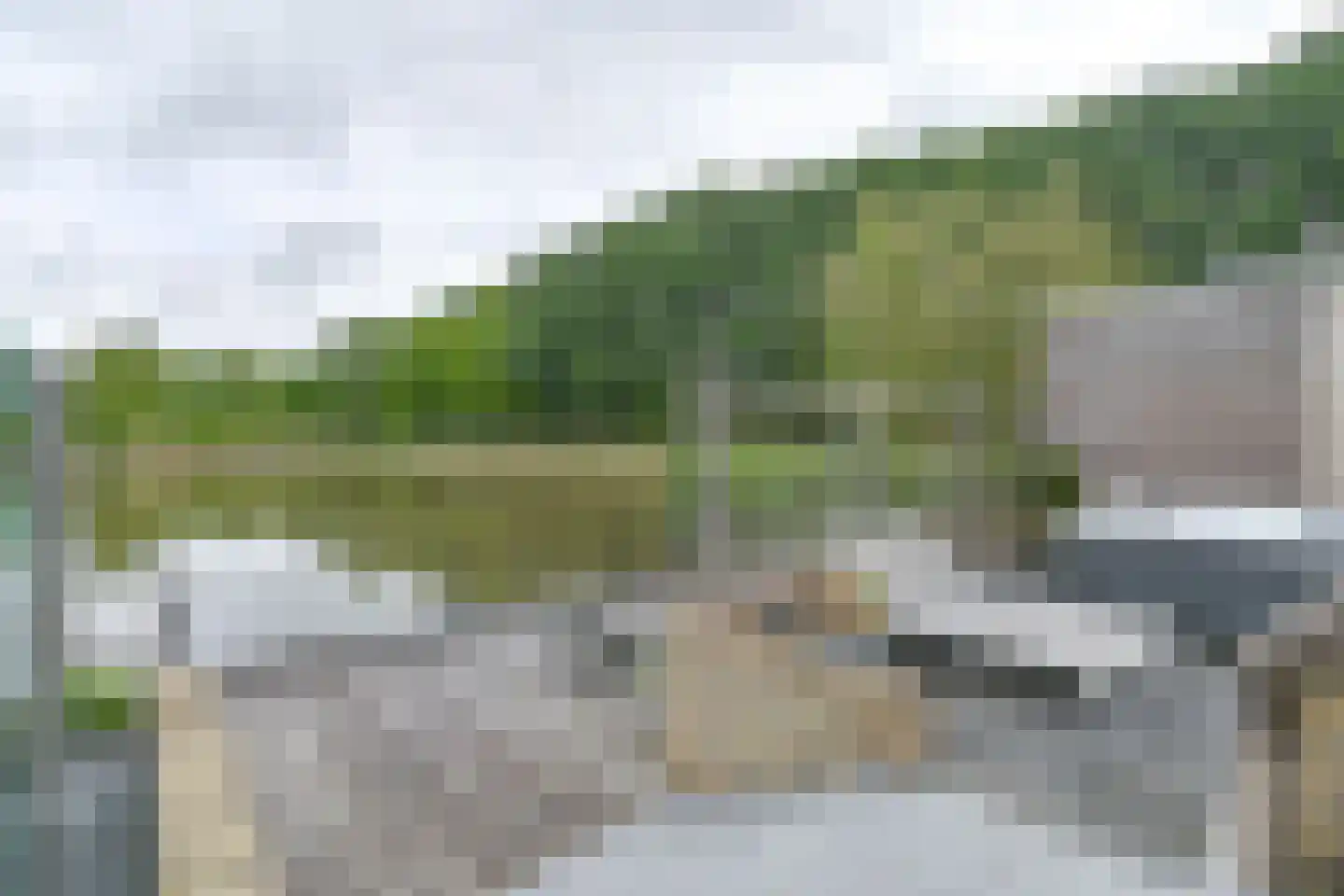 Drieteenspecht 48 Emmen thumbnail 99