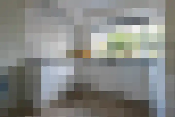 Drieteenspecht 6 Emmen thumbnail 10