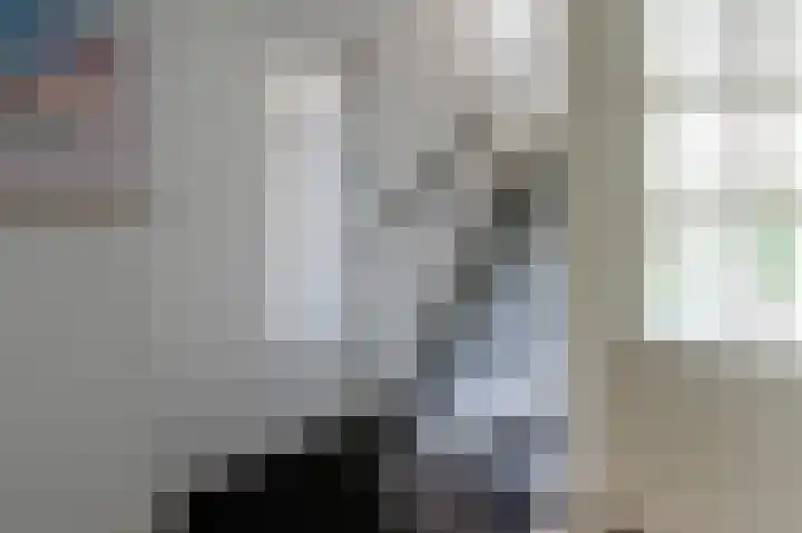 Drieteenspecht 6 Emmen thumbnail 11