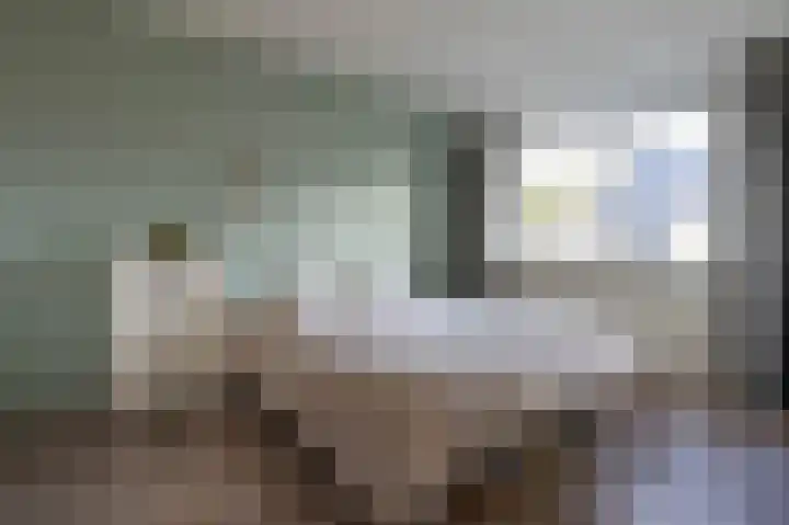 Drieteenspecht 6 Emmen thumbnail 13