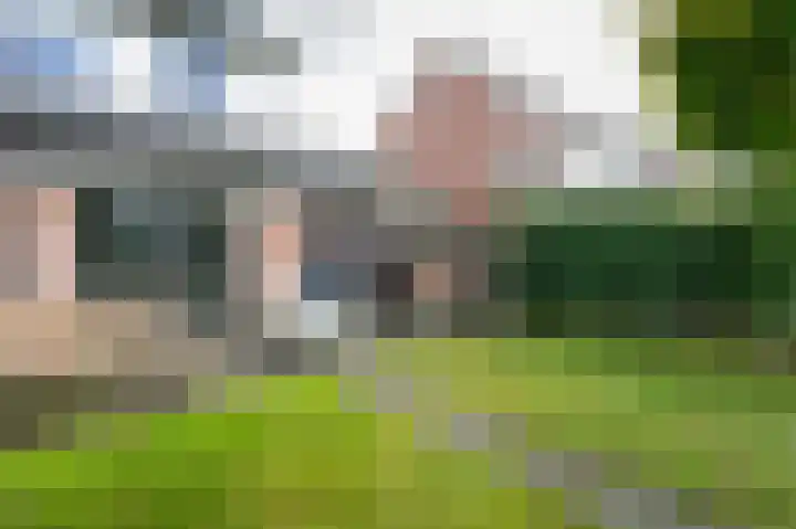Drieteenspecht 6 Emmen thumbnail 21