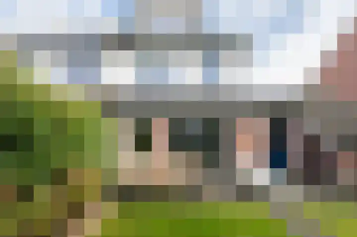Drieteenspecht 6 Emmen thumbnail 22
