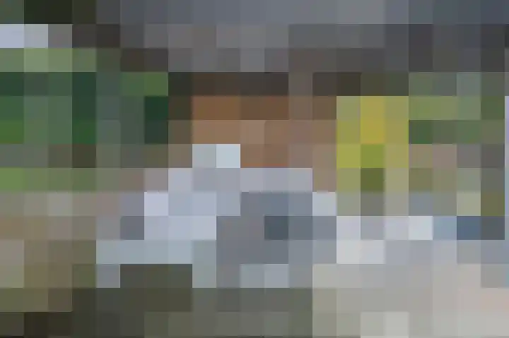 Drieteenspecht 6 Emmen thumbnail 24