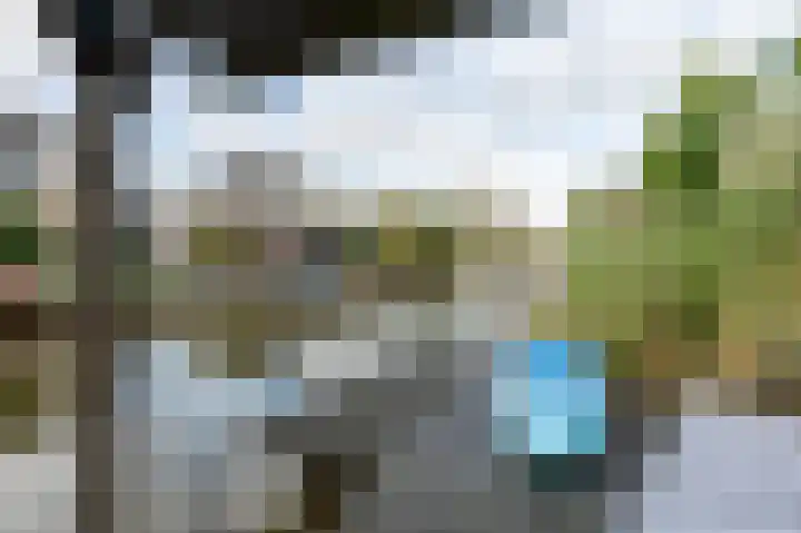 Drieteenspecht 6 Emmen thumbnail 26