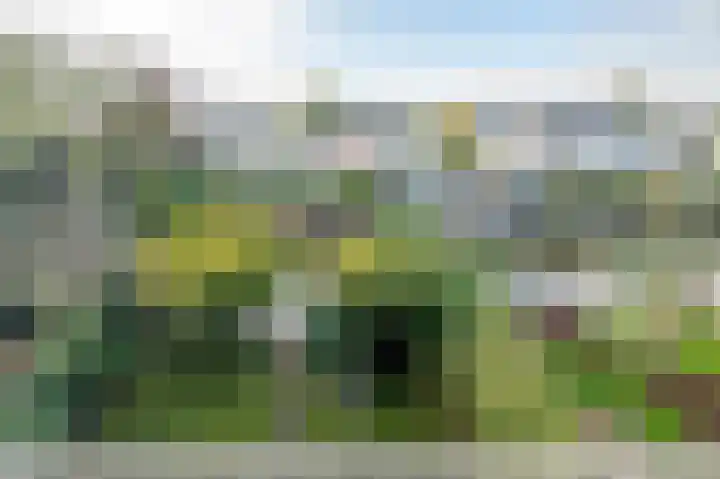 Drieteenspecht 6 Emmen thumbnail 27