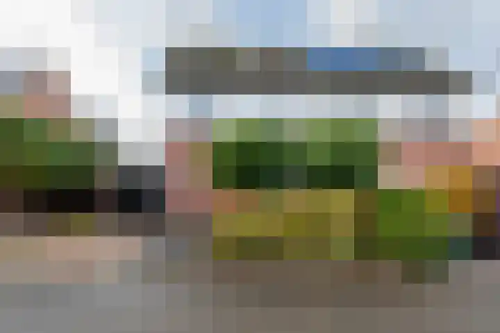 Drieteenspecht 6 Emmen thumbnail 29