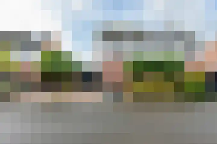 Drieteenspecht 6 Emmen thumbnail 30
