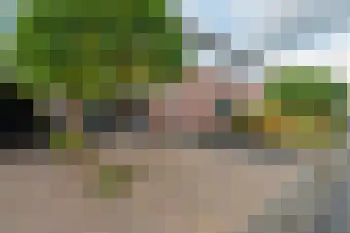 Drieteenspecht 6 Emmen thumbnail 32