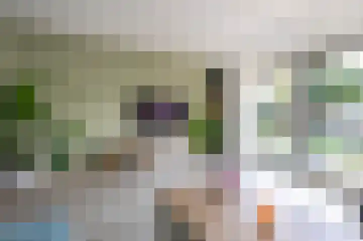 Drieteenspecht 6 Emmen thumbnail 4
