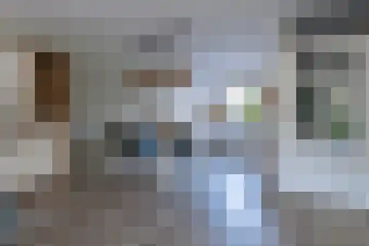 Drieteenspecht 6 Emmen thumbnail 7