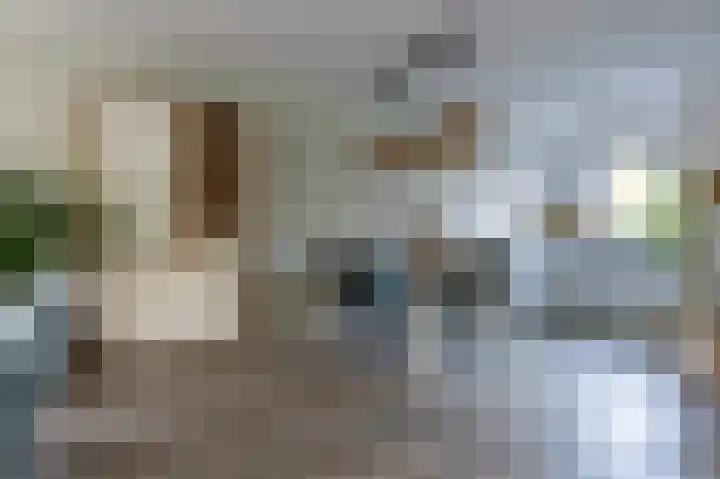 Drieteenspecht 6 Emmen thumbnail 8