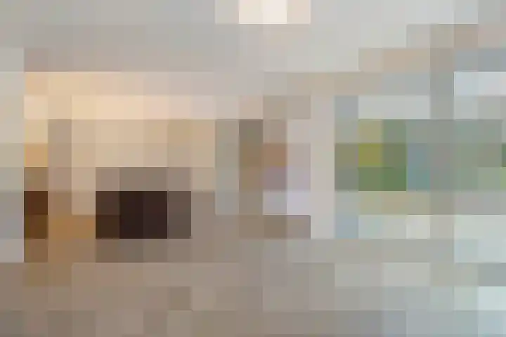 Drieterskuil 8 A Oirschot thumbnail 10