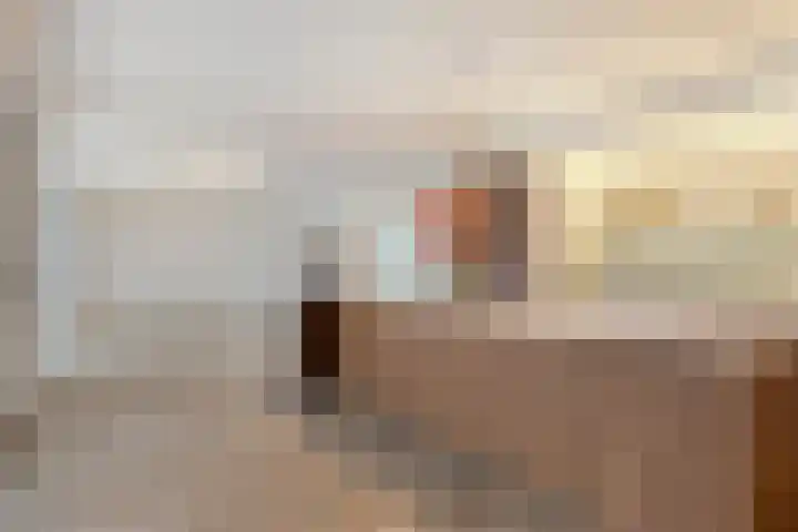 Drieterskuil 8 A Oirschot thumbnail 12