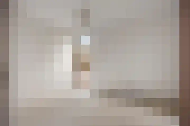 Drieterskuil 8 A Oirschot thumbnail 19