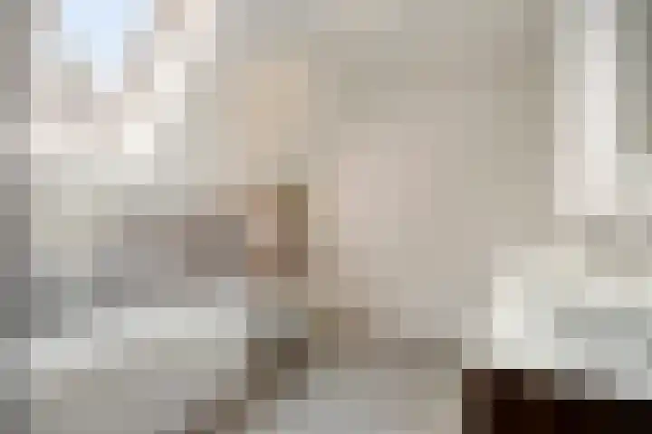 Drieterskuil 8 A Oirschot thumbnail 31