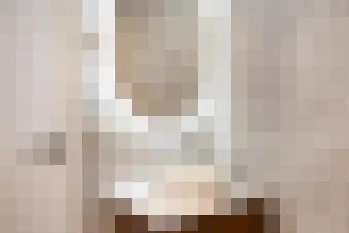 Drieterskuil 8 A Oirschot thumbnail 33