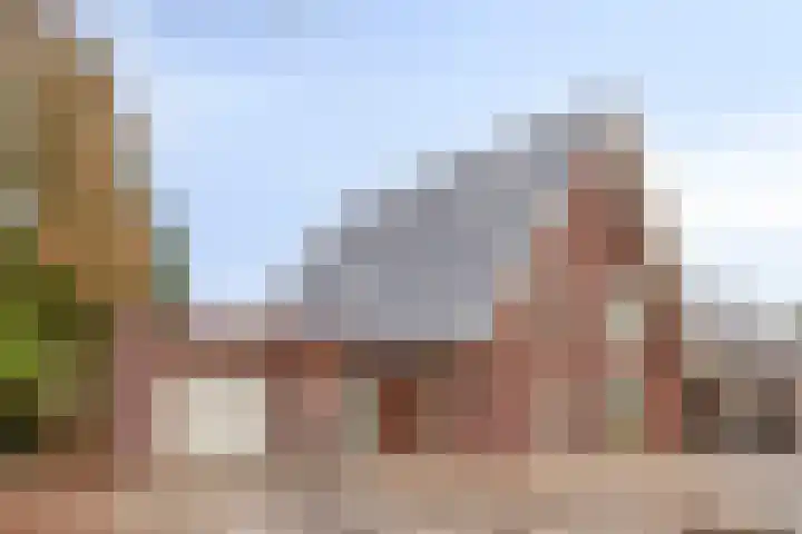 Drieterskuil 8 A Oirschot thumbnail 4
