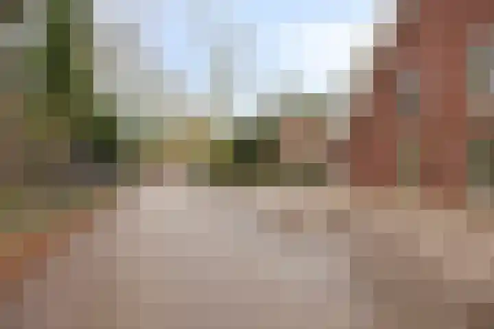 Drieterskuil 8 A Oirschot thumbnail 45