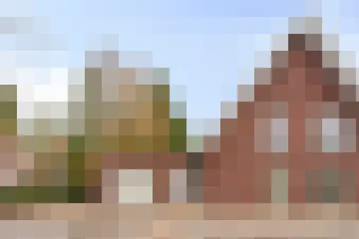 Drieterskuil 8 A Oirschot thumbnail 49