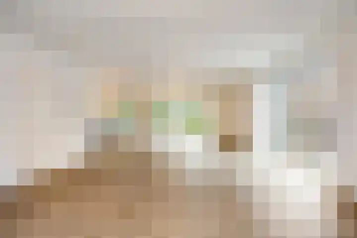 Drieterskuil 8 A Oirschot thumbnail 5
