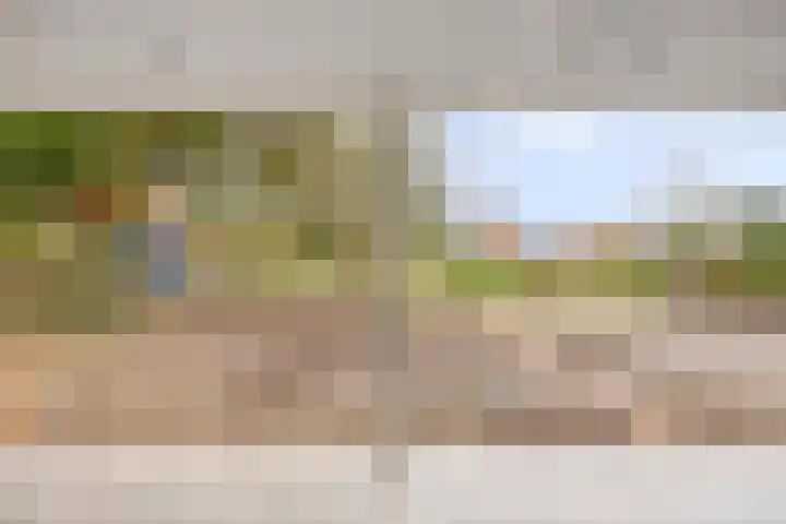 Drieterskuil 8 A Oirschot thumbnail 52