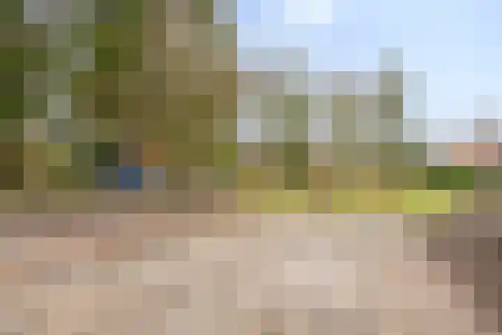 Drieterskuil 8 A Oirschot thumbnail 53