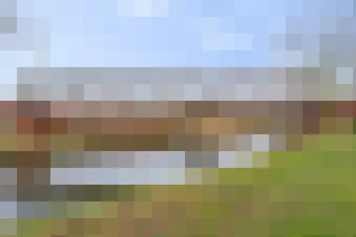 Drieterskuil 8 A Oirschot thumbnail 54