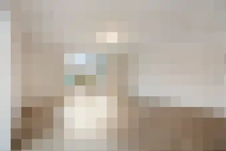 Drieterskuil 8 A Oirschot thumbnail 7