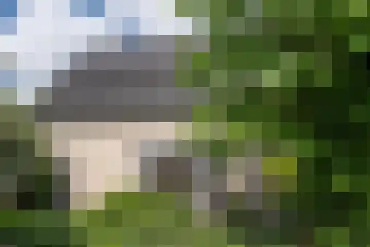 Drievennestraat 4 Lierop thumbnail 10