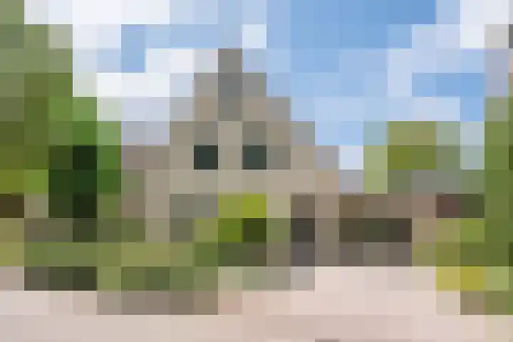 Drievennestraat 4 Lierop thumbnail 11