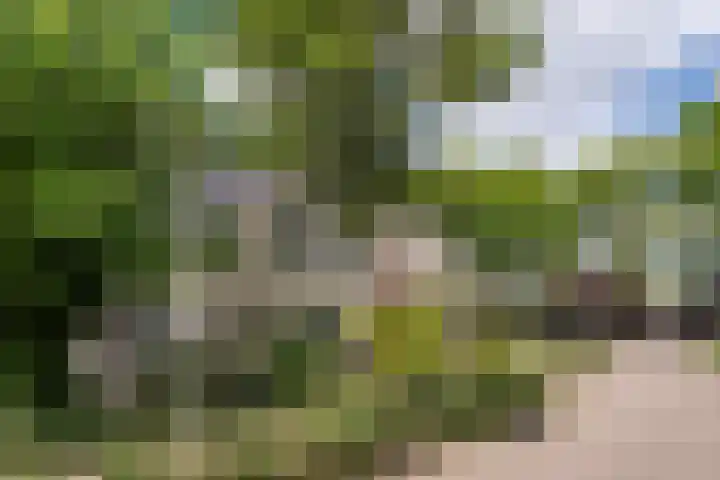 Drievennestraat 4 Lierop thumbnail 12
