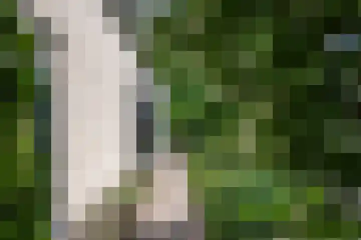 Drievennestraat 4 Lierop thumbnail 13