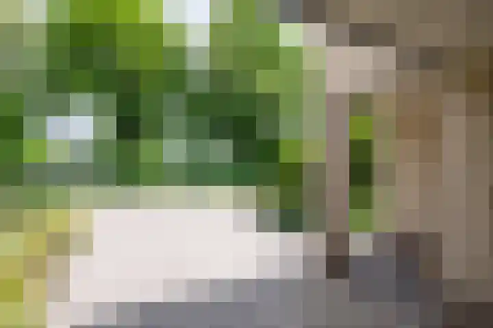 Drievennestraat 4 Lierop thumbnail 14
