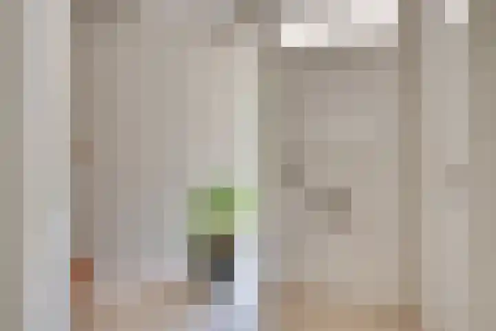 Drievennestraat 4 Lierop thumbnail 16