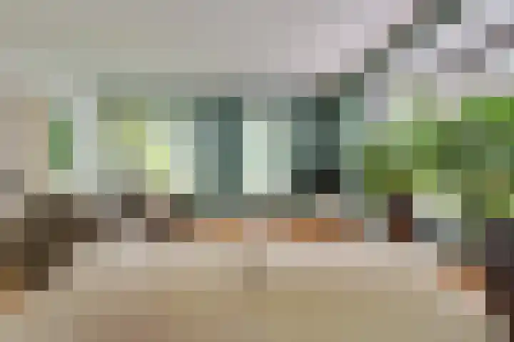 Drievennestraat 4 Lierop thumbnail 19