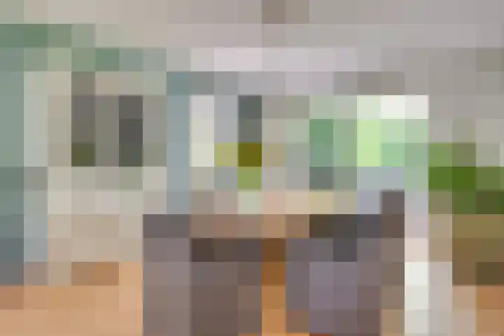 Drievennestraat 4 Lierop thumbnail 21