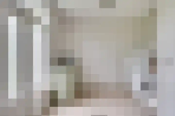 Drievennestraat 4 Lierop thumbnail 27