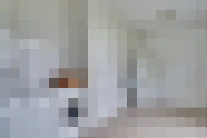 Drievennestraat 4 Lierop thumbnail 28