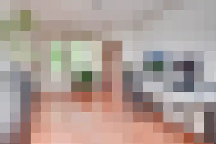 Drievennestraat 4 Lierop thumbnail 29