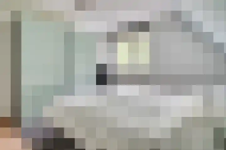 Drievennestraat 4 Lierop thumbnail 32