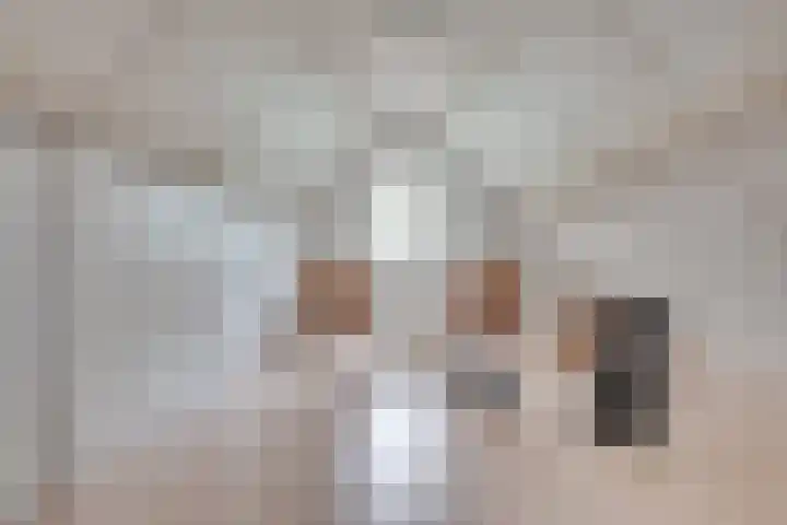 Drievennestraat 4 Lierop thumbnail 43